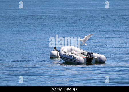 Dingy bateau gonflable lié à une bouée avec vol de mouettes sur elle Banque D'Images