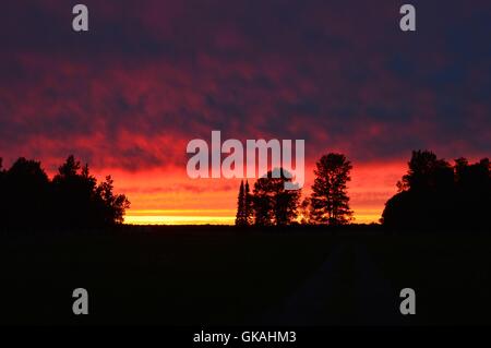 Coucher de soleil sur les champs au début du printemps Banque D'Images