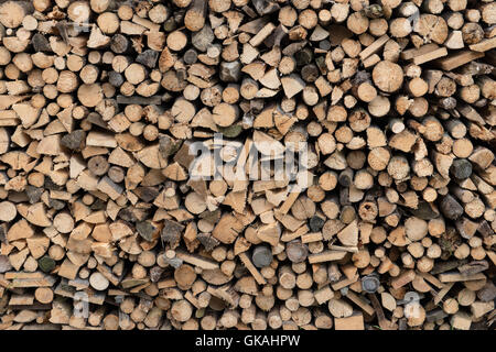 pile de bois Banque D'Images