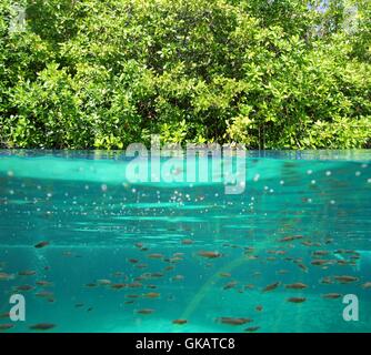 Les déplacements à l'intérieur bleu Banque D'Images