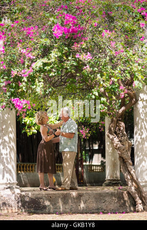 Les aînés célébration parti Banque D'Images