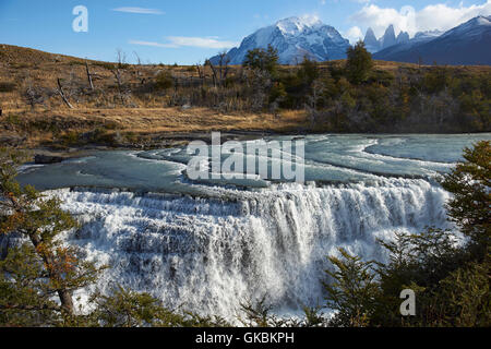 La cascade "Cascada Paine' sur la rivière Paine dans le Parc National Torres del Paine dans la région de Magallanes du sud du Chili. Banque D'Images