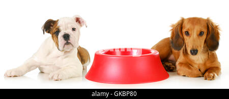 L'alimentation en attente d'attente Banque D'Images