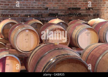 Des tonneaux de vin et quelques bouteilles de vin au Mont Destin vignoble près de Stellenbosch sont conservés au frais dans une cave à vin - Mars 2016 | Le monde d'utilisation Banque D'Images