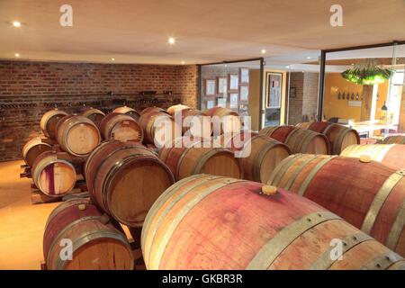 Des tonneaux de vin et quelques bouteilles de vin au Mont Destin vignoble près de Stellenbosch sont conservés au frais dans une cave à vin - Mars 2016 | Le monde d'utilisation Banque D'Images