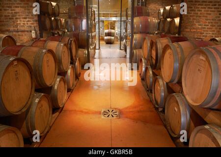 Des tonneaux de vin au Mont Destin vignoble près de Stellenbosch sont conservés au frais dans une cave à vin - Mars 2016 | Le monde d'utilisation Banque D'Images