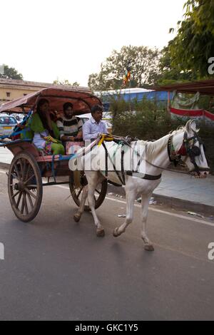 Scène de rue à cheval et panier, Jaipur, Rajasthan, Inde, Asie Banque D'Images