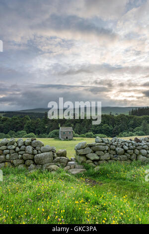 Fleur sauvage traditionnelle Hay Meadow et Grange, Holwick, Upper Teesdale, County Durham, Royaume-Uni Banque D'Images
