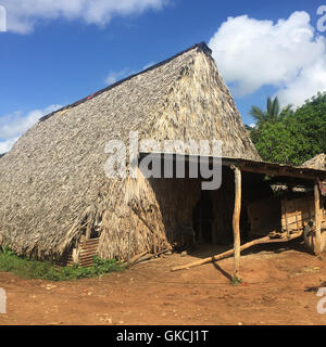 L'extérieur d'une cabane de séchage du tabac sur une ferme dans la Vallée de Viñales, Cuba, 2016. Banque D'Images