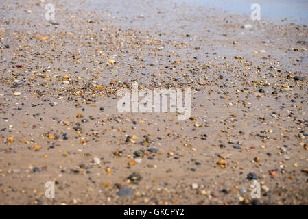 Cailloux et de galets sur la plage de Seaham, County Durham, England, UK Banque D'Images