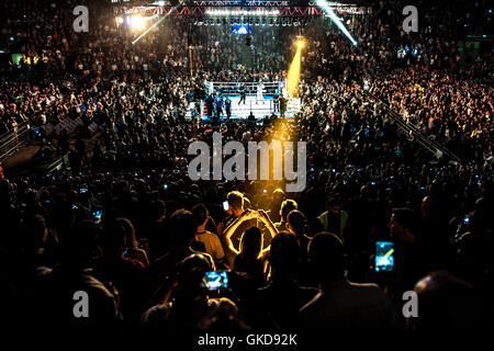 Des milliers watch le David Haye et Arnold Gjerjaj match de boxe poids lourd dans l'O2 Arena de Londres. Comprend : voir, l'atmosphère où : London, Royaume-Uni Quand : 21 mai 2016 Banque D'Images