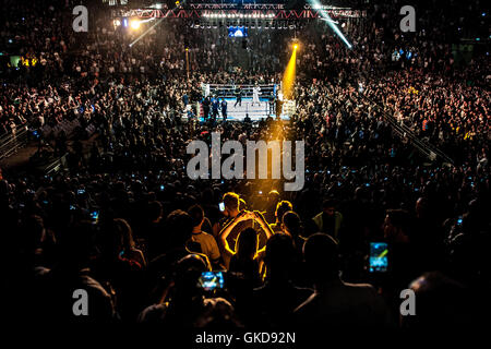 Des milliers watch le David Haye et Arnold Gjerjaj match de boxe poids lourd dans l'O2 Arena de Londres. Comprend : voir, l'atmosphère où : London, Royaume-Uni Quand : 21 mai 2016 Banque D'Images