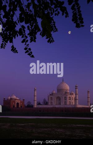 Lune sur le côté nord du Taj Mahal vue sur la rivière Yamuna, site classé au patrimoine mondial de l'UNESCO, Agra, Uttar Pradesh, Inde, Asie Banque D'Images