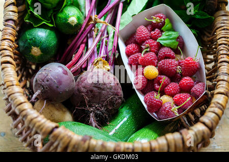 Panier avec produits du jardin fraîchement cueillies Banque D'Images