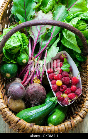 Panier avec produits du jardin fraîchement cueillies Banque D'Images