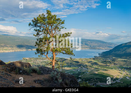 Giants Head Mountain Park, Summerland, Okanagan Valley, British Columbia, Canada Banque D'Images