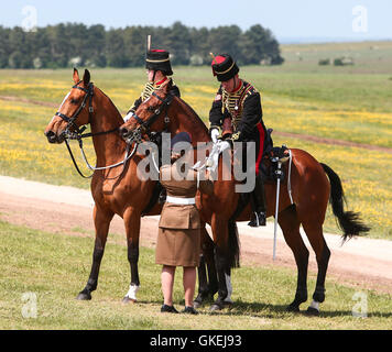 Sa Majesté la Reine, le capitaine-général du Régiment royal de l'Artillerie, assiste à un examen de l'Artillerie royale à l'occasion de leur tricentenaire à Knighton, Parkhill. Doté d''atmosphère : où : Salisbury, Royaume-Uni Quand : 26 mai 2016 Banque D'Images