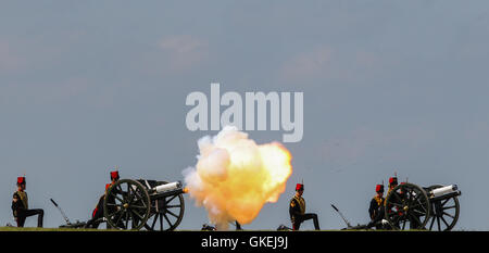 Sa Majesté la Reine, le capitaine-général du Régiment royal de l'Artillerie, assiste à un examen de l'Artillerie royale à l'occasion de leur tricentenaire à Knighton, Parkhill. Doté d''atmosphère : où : Salisbury, Royaume-Uni Quand : 26 mai 2016 Banque D'Images