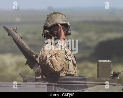 Sa Majesté la Reine, le capitaine-général du Régiment royal de l'Artillerie, assiste à un examen de l'Artillerie royale à l'occasion de leur tricentenaire à Knighton, Parkhill. Doté d''atmosphère : où : Salisbury, Royaume-Uni Quand : 26 mai 2016 Banque D'Images