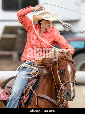 Cowgirl rodéo à cheval en compétition dans Calf roping, retenue ou événement au lasso, Chaffee County Fair & Rodeo, Salida, Colorado USA Banque D'Images