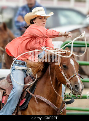 Cowgirl rodéo à cheval en compétition dans Calf roping, retenue ou événement au lasso, Chaffee County Fair & Rodeo, Salida, Colorado USA Banque D'Images