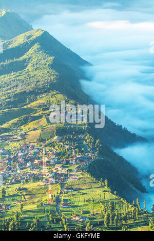 Cemoro Lawang village au Mont Bromo dans parc national de Bromo tengger semeru, l'Est de Java, Indonésie Banque D'Images