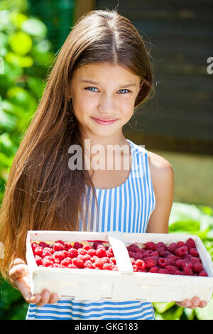 Belle brune petite fille tenant une boîte avec une framboise, été dehors Banque D'Images