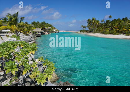 Chenal peu profond (hoa) entre les îlots d'un resort, atoll de Tikehau, archipel des Tuamotu, en Polynésie française, l'océan Pacifique Banque D'Images