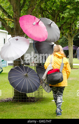 Southport, Merseyside. Météo France : 20 Aug 2016.Météo : des pluies torrentielles et des vents violents ont soufflé les foules dans le Southport Flower Show. Unseasonal et pluvieux s'est installé dans la station balnéaire avec une synchronisation parfaite afin de coïncider avec le plus grand événement annuel de la ville. L'hardy jardiniers ne seraient pas rebutés par la pluie et persévéré sur peu importe. Credit : Cernan Elias/Alamy Live News Banque D'Images