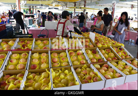 Taipei, Taiwan. Août 21, 2016. Citoyens achètent à la pêches espoir Plaza Farmer Market à Taipei, Taiwan de la Chine du sud-est, le 21 août, 2016. Durant le week-end, le marché de fermiers invite autour de Taiwan à vendre Promotions frais de saison, et il est devenu l'un des plus importants marchés de vacances à Taipei. Credit : Chanson/Xinhua/Alamy Zhenping Live News Banque D'Images