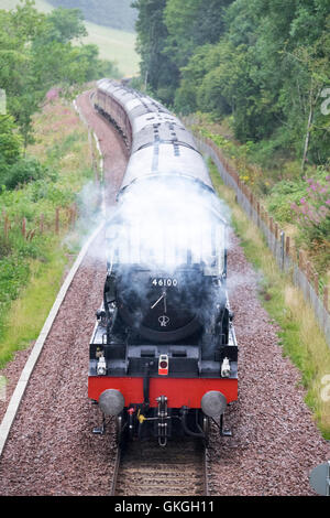 Frontières, Galashiels Railway - Whin Bridge, UK. 21.Aug.2016. Train à vapeur sur la frontière . Un bain à vapeur d'exécution spéciale sur les frontières Railway le dimanche en août et septembre, photographié ici sur son voyage de retour de Waverley à Tweedbank photographié ici est la locomotive électrique Diesel de la classe 67, 67009 dans l'English Welsh and Scottish Railway livery tirant les chariots et machine à vapeur 46100 "Le Royal Scot' retour à Edinburgh Waverley. (Photo : Rob Gray) Banque D'Images