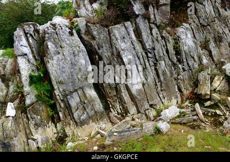 Rhos Craig-y-Felin Pont Saeson affleurement rocheux Pembrokeshire Crosswell Banque D'Images