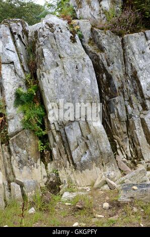 Rhos Craig-y-Felin Pont Saeson affleurement rocheux Pembrokeshire Crosswell Banque D'Images