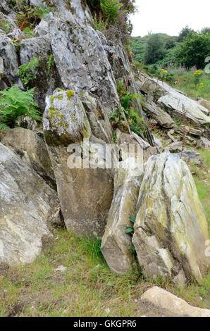 Rhos Craig-y-Felin Pont Saeson affleurement rocheux Pembrokeshire Crosswell Banque D'Images