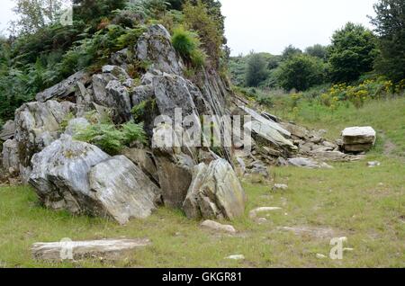 Rhos Craig-y-Felin Pont Saeson affleurement rocheux Pembrokeshire Crosswell Banque D'Images