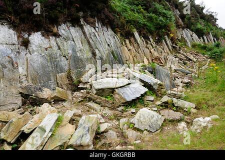 Rhos Craig-y-Felin Pont Saeson affleurement rocheux Pembrokeshire Crosswell Banque D'Images