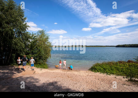 Pays-bas, Limbourg, parc national de Maasduinen. Banque D'Images