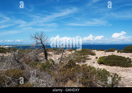 Îles Baléares, Formentera : vue sur le maquis méditerranéen à la campagne Banque D'Images