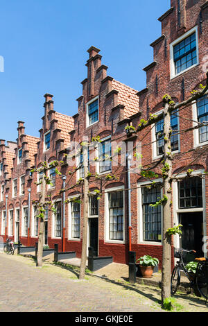 Les maisons en rangée avec gables en Groot Heiligland street dans la vieille ville de Haarlem, Hollande, Pays-Bas Banque D'Images