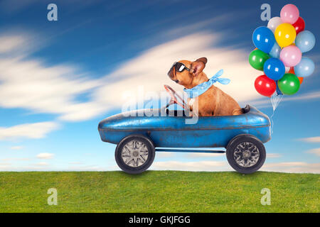 La sortie à l'été Banque D'Images