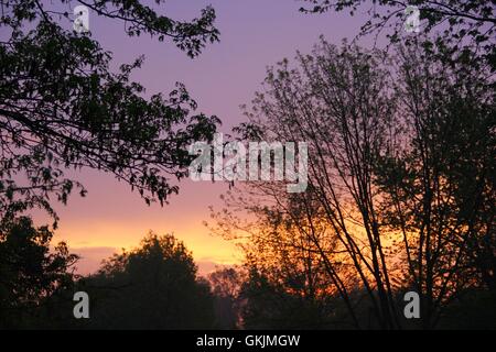 Smokey violet et orange coucher de soleil dans la banlieue parsemée d'arbres. Banque D'Images