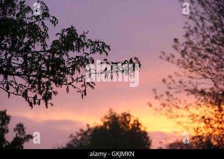 Smokey violet et orange coucher de soleil dans les banlieues. Banque D'Images