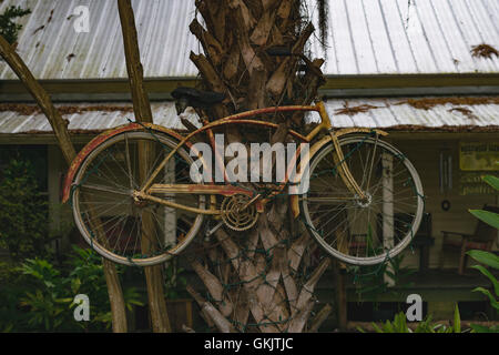 Un vieux vélo rouillé attaché à un palmier en Floride. Enveloppé dans des lumières de Noël. Banque D'Images