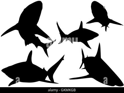 Blacktip Reef Shark Silhouettes Illustration de Vecteur