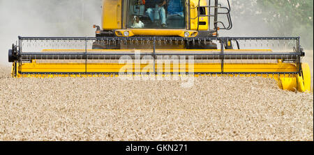 Close up d'une moissonneuse-batteuse au travail à partir de l'avant Banque D'Images