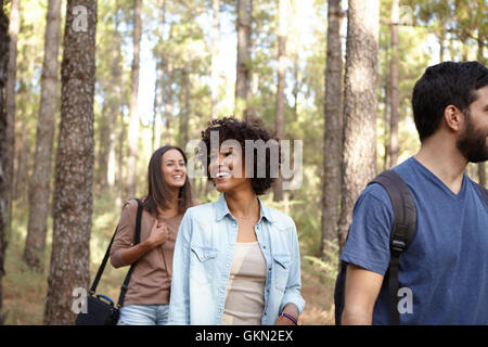 Trois amis heureux de rire, se promener à travers une forêt de pins en fin d'après-midi soleil tout en portant des vêtements décontractés Banque D'Images