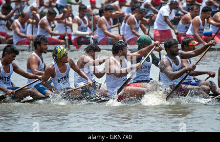 L'image du participant, l'aviron, Snake bateau , bateau de Nehru, le jour de la course, Allaepy Punnamda Lake, le Kerala Inde Banque D'Images