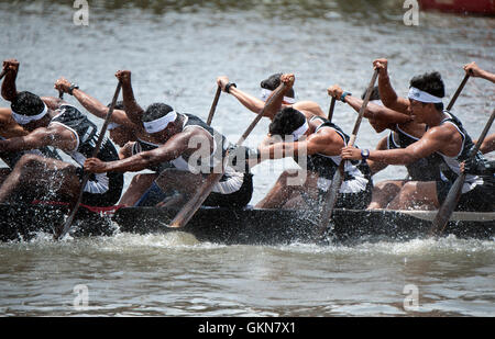 L'image du participant, l'aviron, Snake bateau , bateau de Nehru, le jour de la course, Allaepy Punnamda Lake, le Kerala Inde Banque D'Images