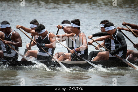 L'image du participant, l'aviron, Snake bateau , bateau de Nehru, le jour de la course, Allaepy Punnamda Lake, le Kerala Inde Banque D'Images