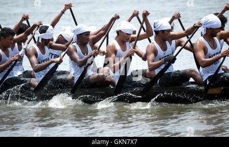 L'image du participant, l'aviron, Snake bateau , bateau de Nehru, le jour de la course, Allaepy Punnamda Lake, le Kerala Inde Banque D'Images